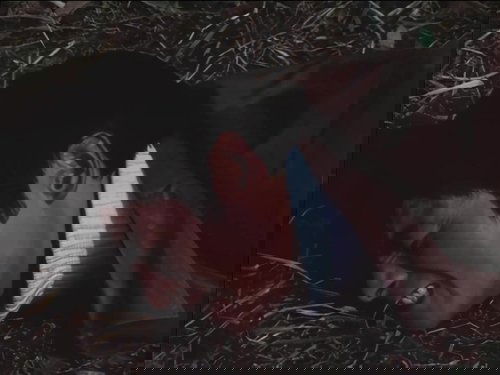 Background image for Duel!! Gokinosaurus