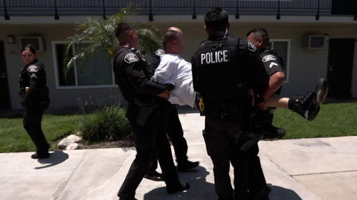 Street Racing Investigation