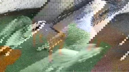 Background image for In Case of Neighbors: Break Glass
