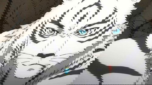 Background image for White Tiger