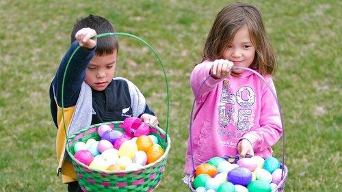 Background image for Chicks & Eggs