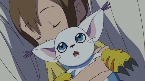 Hikari and Tailmon