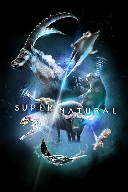 Show cover for Super/Natural