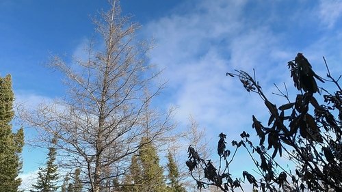 Background image for On Thin Ice