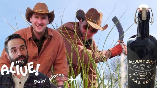 Background image for Brad Distills Sotol