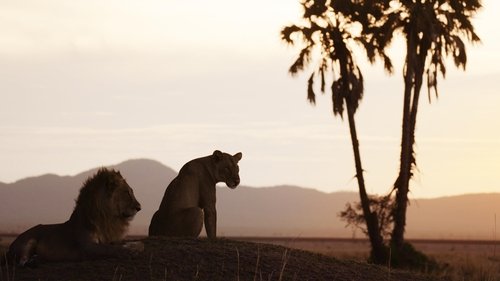 Background image for Salvation | Katavi: Africa's Fallen Paradise
