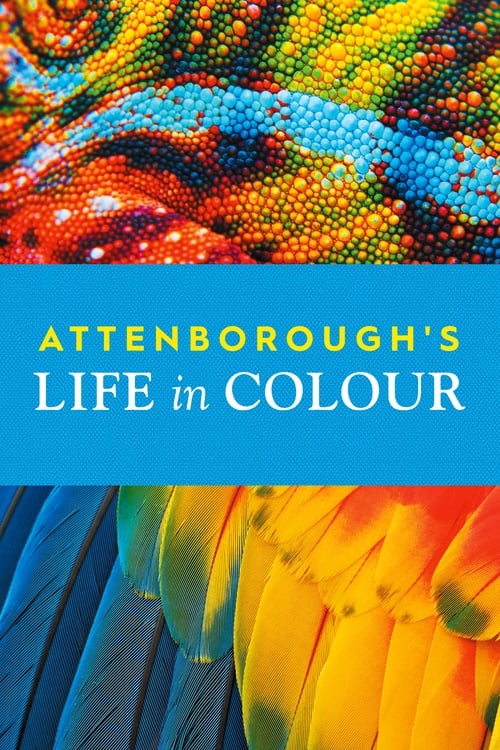 Show cover for Attenborough's Life in Colour