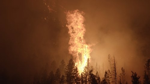 Background image for Wildfire