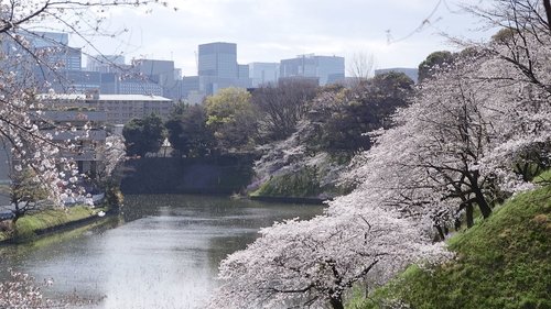 Background image for Keyword: Chidorigafuchi