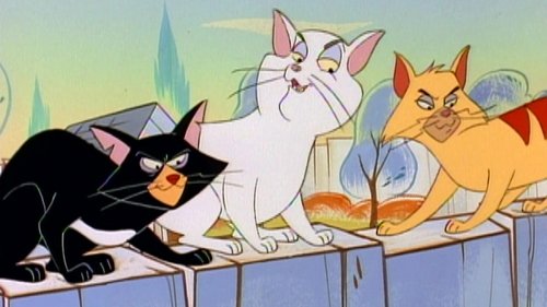 Background image for Cat Fight