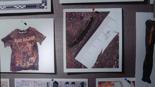Background image for The death in the park