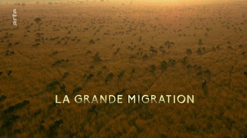 Background image for The Great Migration