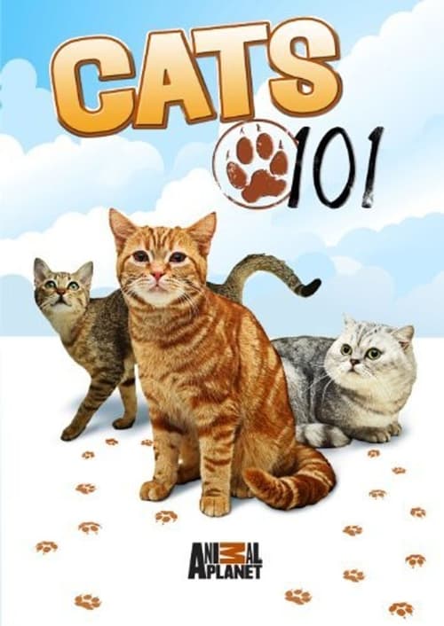 Show cover for Cats 101