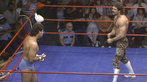 Background image for WCCW - May 03, 1986