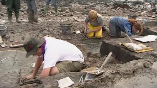 Rescuing a Mesolithic Foreshore - Goldcliff, Newport