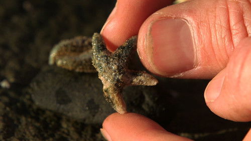 Background image for Episode 25