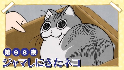 Night 98: A Cat Comes to Bug Me