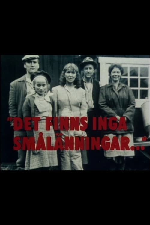 Show cover for Det finns inga smålänningar