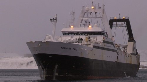 Background image for Northern Eagle