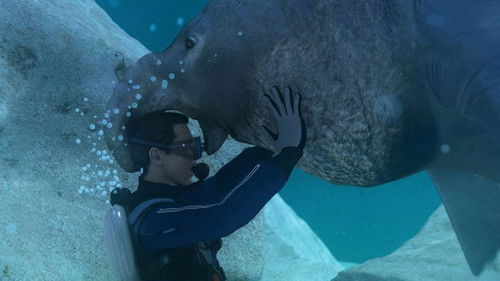 Disaster on the High Seas