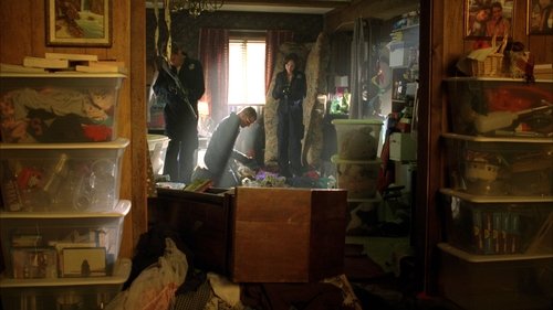 Background image for House of Hoarders