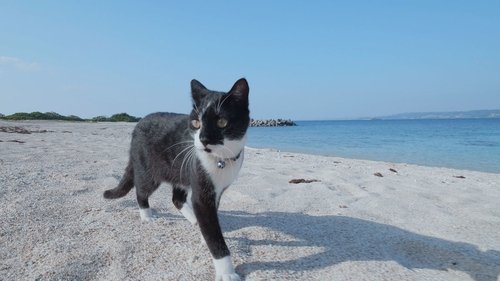Background image for Okinawa/Kudaka: A Spiritual Paradise