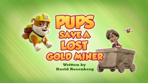 Pups Save a Lost Gold Miner