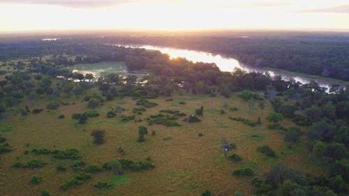 Background image for Swamps