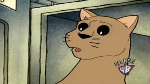 Background image for Almost Purr-fect
