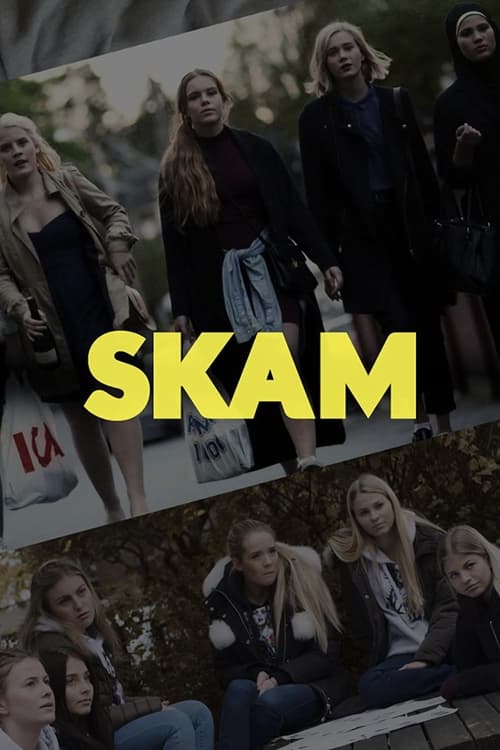 Show cover for SKAM