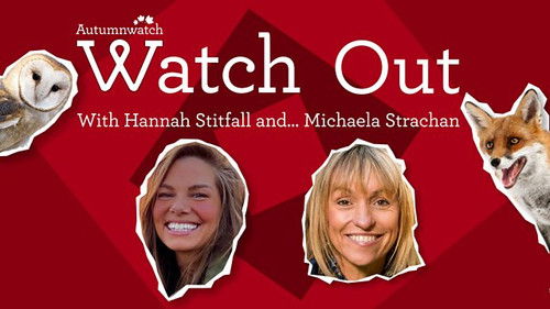 Background image for Watch Out with Hannah Stitfall and Michaela Strachan