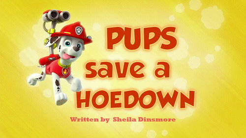 Pups Save a Hoedown