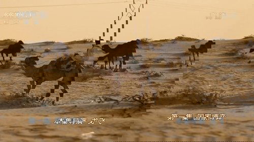 Background image for Episode 1