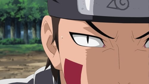 Kiba's Determination