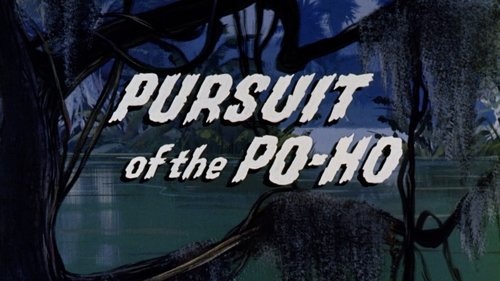 Background image for Pursuit of the Po-Ho