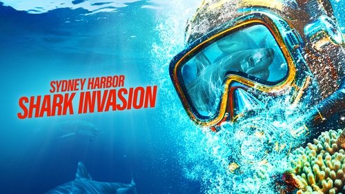 Background image for Sydney Harbor Shark Invasion
