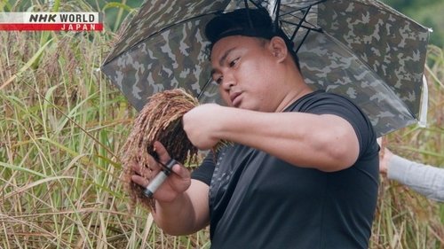 Background image for Rice Heritage Revival: North Borneo, Malaysia