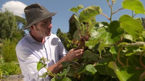 Background image for Episode 6 Bee Hotels, Direct Sowing & Coastal Gardens
