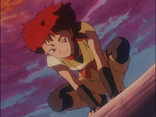 Background image for The Plot of the Panther Devas
