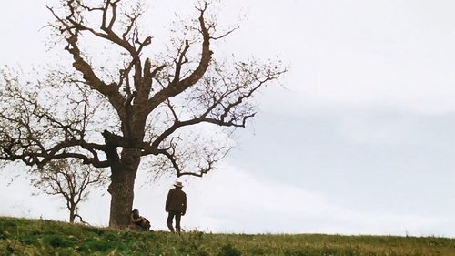 Background image for Plague