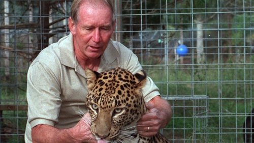 Background image for The Missing Millionaire: A ‘Tiger King' Mystery
