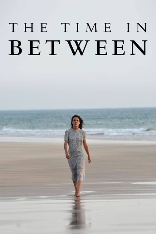 Show cover for The Time in Between