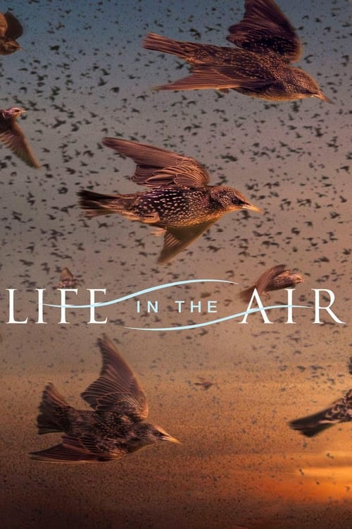 Show cover for Life in the Air