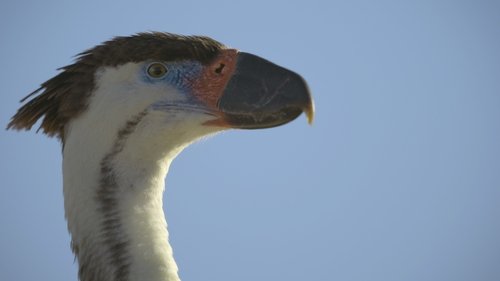 Background image for New Lands