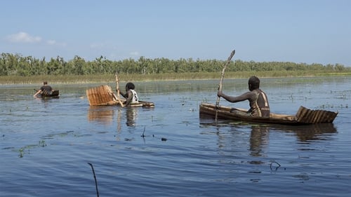 Tin Canoes