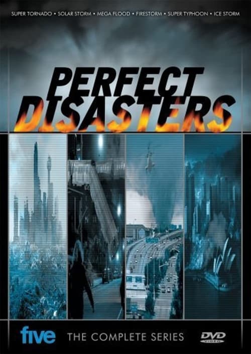 Show cover for Perfect Disaster