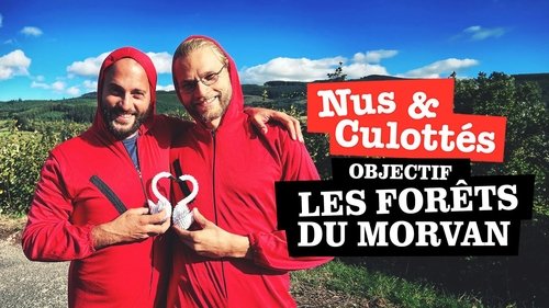 Background image for Morvan Forests