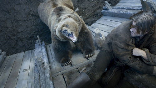 Background image for The Bear and the Maiden Fair