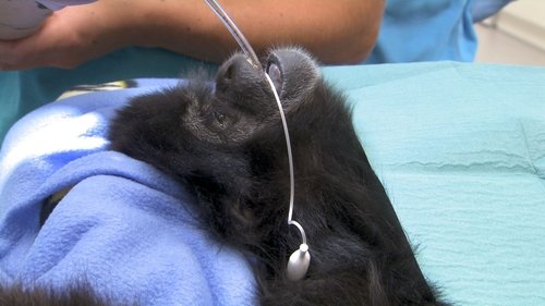 Background image for Episode 6