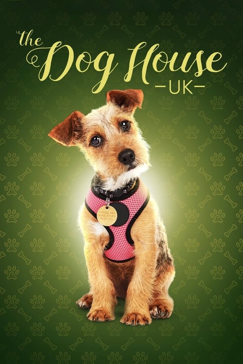 Show cover for The Dog House